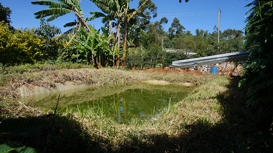 Water harvesting pan. Photo: Huizhong Yu